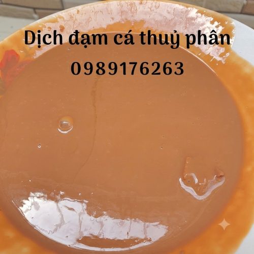 Dịch cá thủy phân
